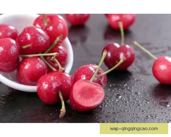 樱桃视频二区：探索感官边界，点燃无限想象